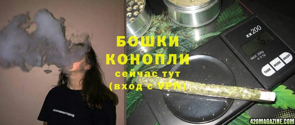 прущая мука Каменка
