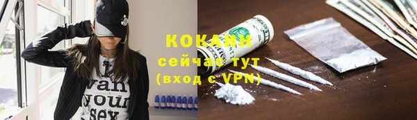 прущая мука Каменка