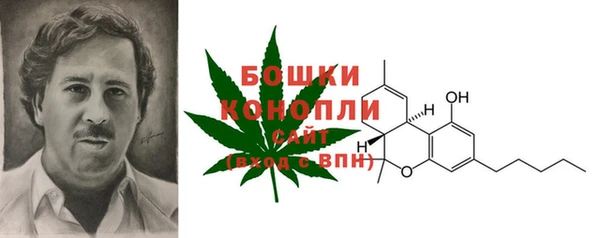 шишки Каменск-Шахтинский