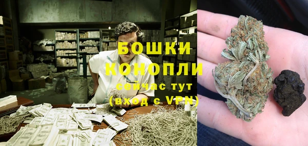 прущая мука Каменка