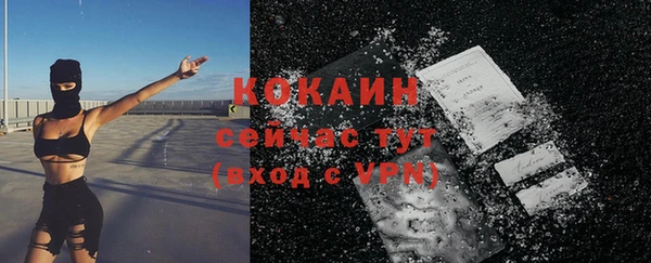 прущая мука Каменка