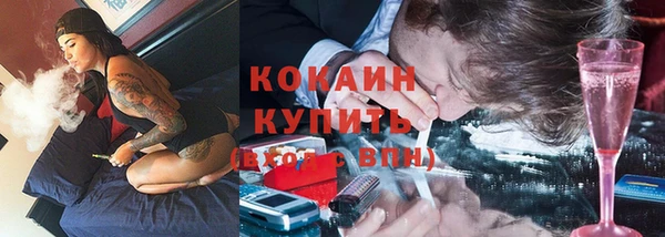 прущая мука Каменка